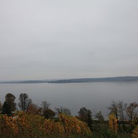 Der Blick über den Bodensee