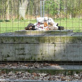 Ehrenfriedhof Kaiserberg in Duisburg