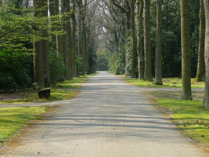 Nutzerbilder Waldfriedhof