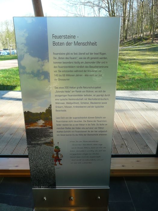 Nutzerbilder Boomhus Gastronomie im Naturerbe Zentrum Rügen