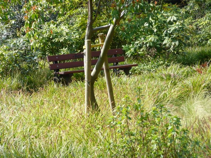 Nutzerbilder Botanischer Garten Duissern Kaiserberg