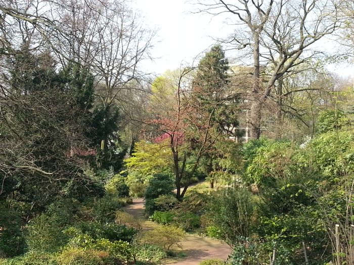 Nutzerbilder Botanischer Garten Duissern Kaiserberg