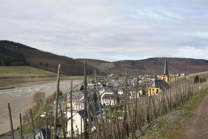 Der Blick von der Weinbergen ... rechts unten die Kirche ...