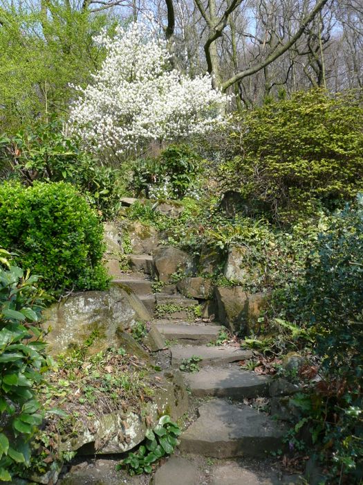 Nutzerbilder Botanischer Garten Duissern Kaiserberg