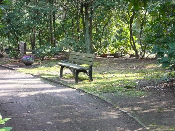 Nutzerbilder Waldfriedhof