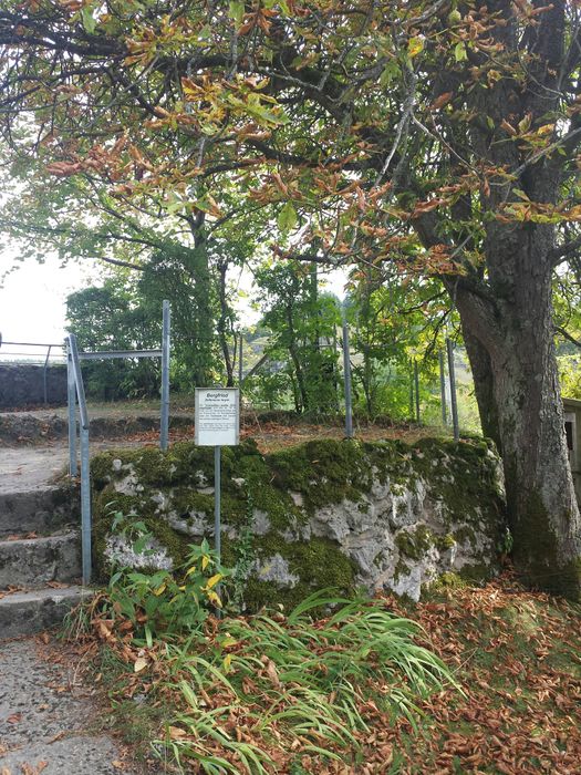 Nutzerbilder Burg Pottenstein