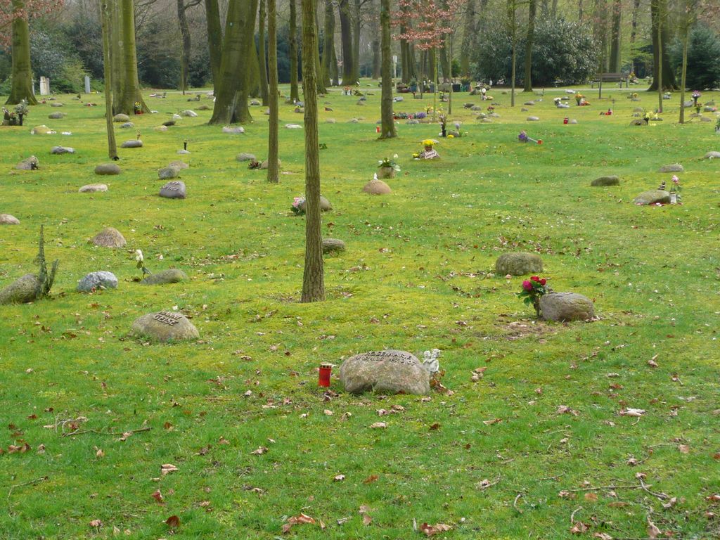 Nutzerfoto 24 Waldfriedhof
