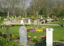 Bild zu Memoriam Garten Duisburg Waldfriedhof