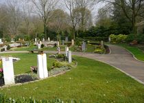 Bild zu Memoriam Garten Duisburg Waldfriedhof