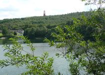 Bild zu Waldsee Baerler Busch