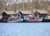 Bild zu Hafen in Gager