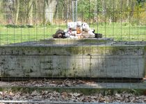 Bild zu Ehrenfriedhof Kaiserberg