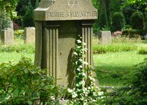 Bild zu Friedhof Sternbuschweg