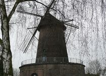Bild zu Bergheimer Mühle