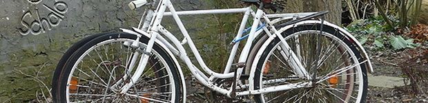 Bild zu Radwege auf der Insel Rügen