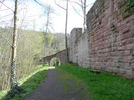 Bild zu Schlossruine Wildberg