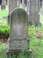 Bild zu Alter jüdischer Friedhof am Hauptfriedhof