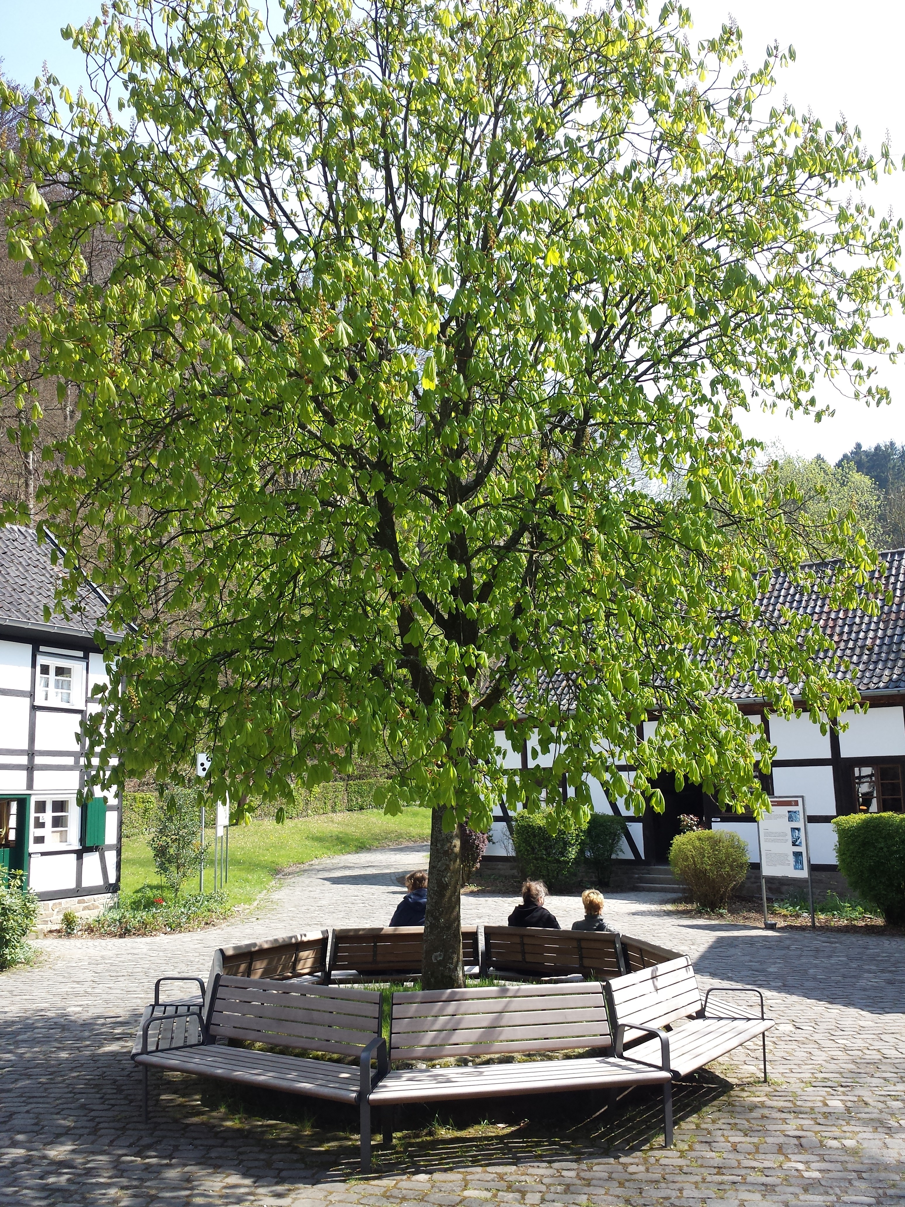 Bild 86 LWL-Freilichtmuseum Hagen in Hagen