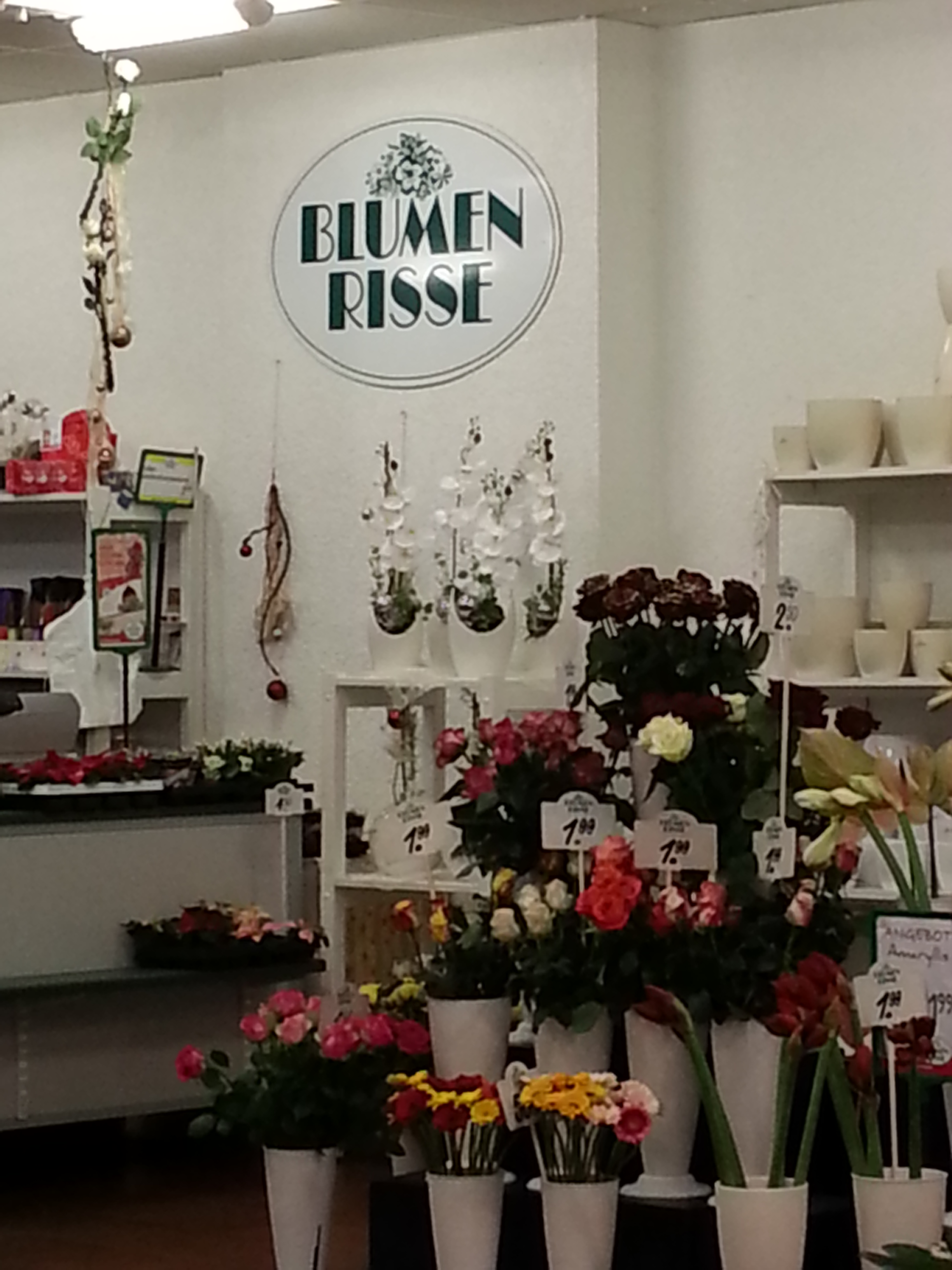 Bild 9 Blumen Risse GmbH & Co. KG in Duisburg