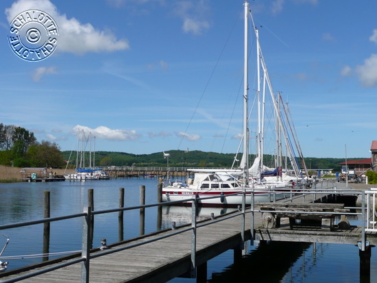 Bild 4 Hafen Seedorf Betriebs- u. Verwaltungsgesellschaft mbH in Sellin