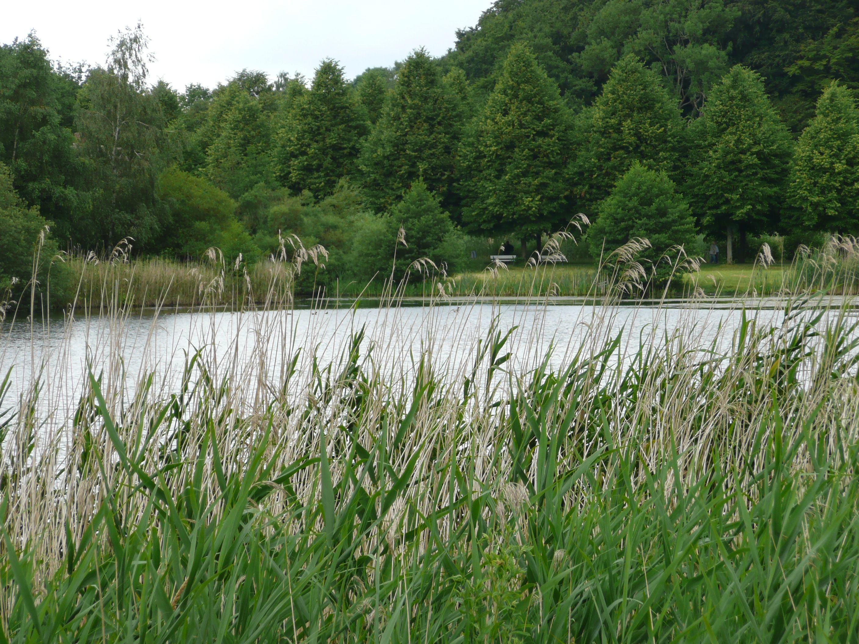 Bild 69 Schleswig-Holsteinisches Freilichtmuseum e. V. in Molfsee