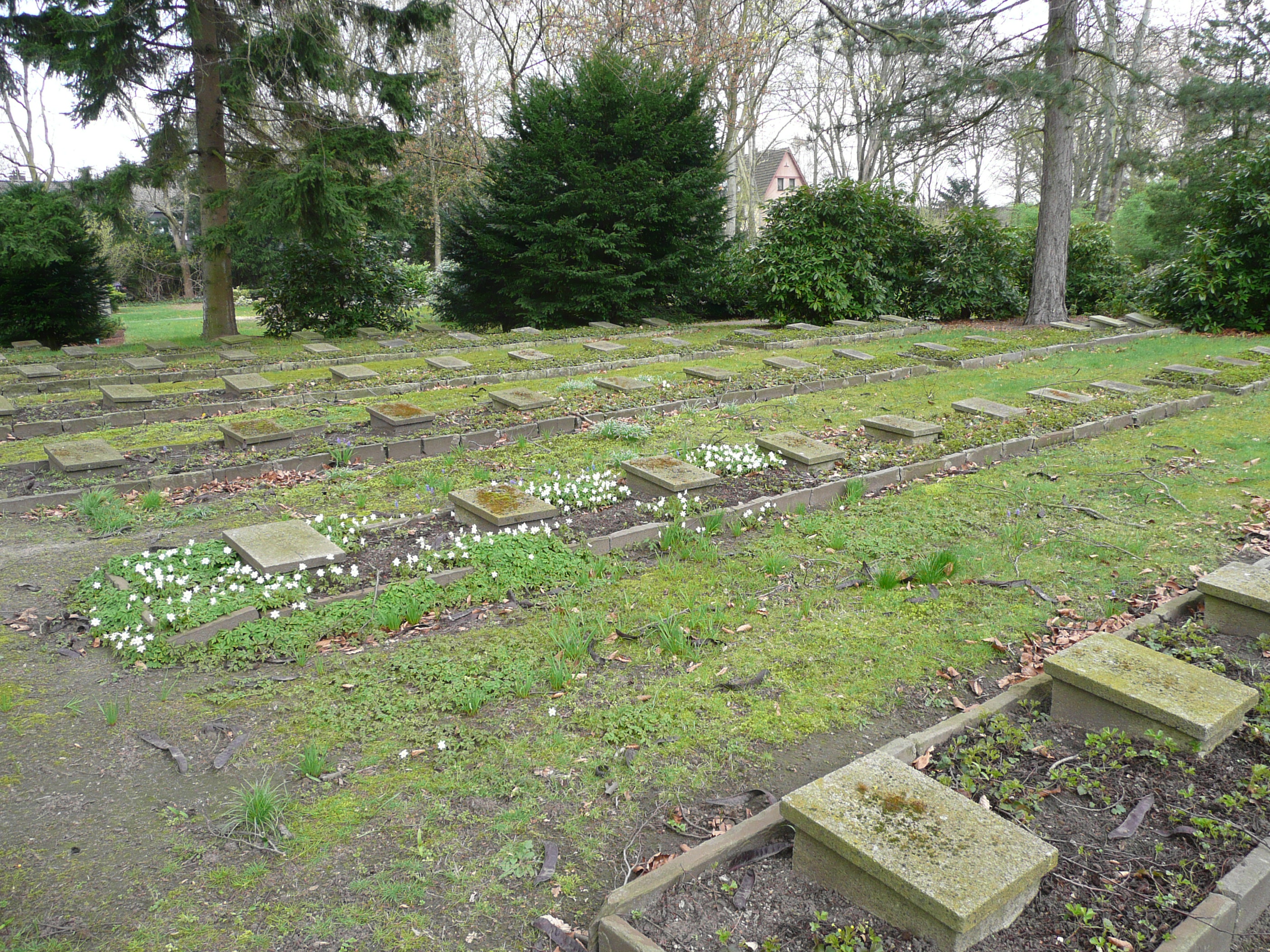 .... noch mehr Gräber auf der anderen Seite des 2. Kriegsgräberfeldes ... kaum noch lesbare Namen ....