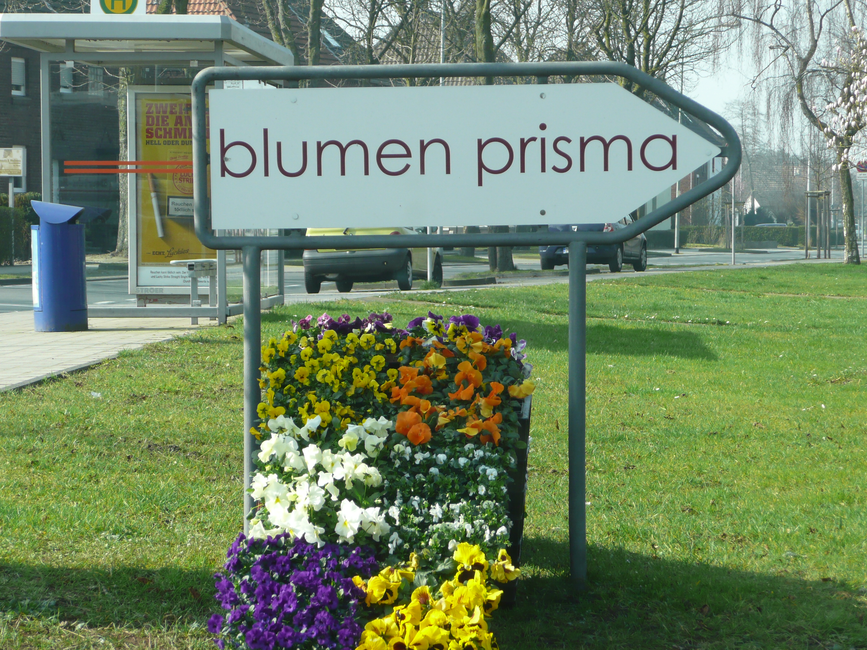 Bild 2 blumen prisma von Holtum in Duisburg
