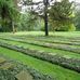 Kriegsgräber auf dem Städt. Friedhof in Duisburg