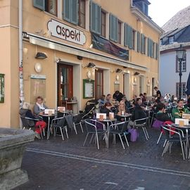 Schwarzer Kater in Freiburg im Breisgau
