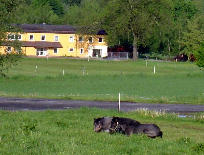 Bild 4 Ferienhof Falkenau Inh. Manuela May in Flöha