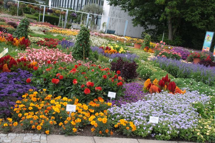 Nutzerbilder Erfurter Garten- und Ausstellungs gGmbH (ega) egapark