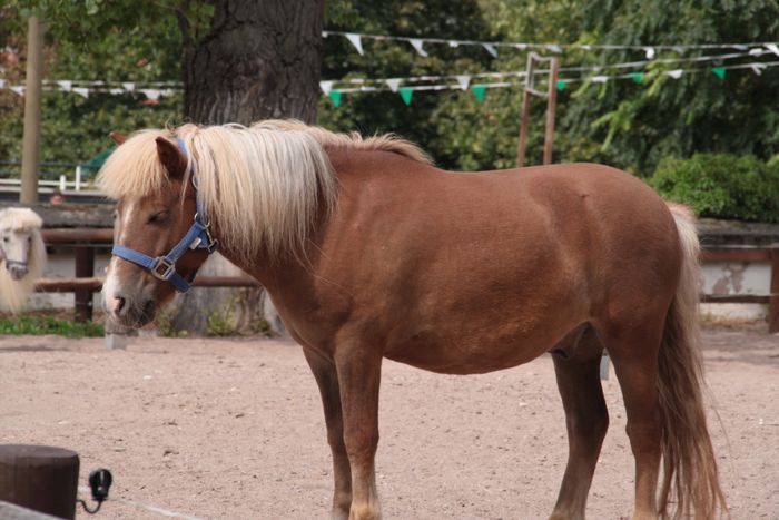 Nutzerbilder Erfurter Garten- und Ausstellungs gGmbH (ega) egapark