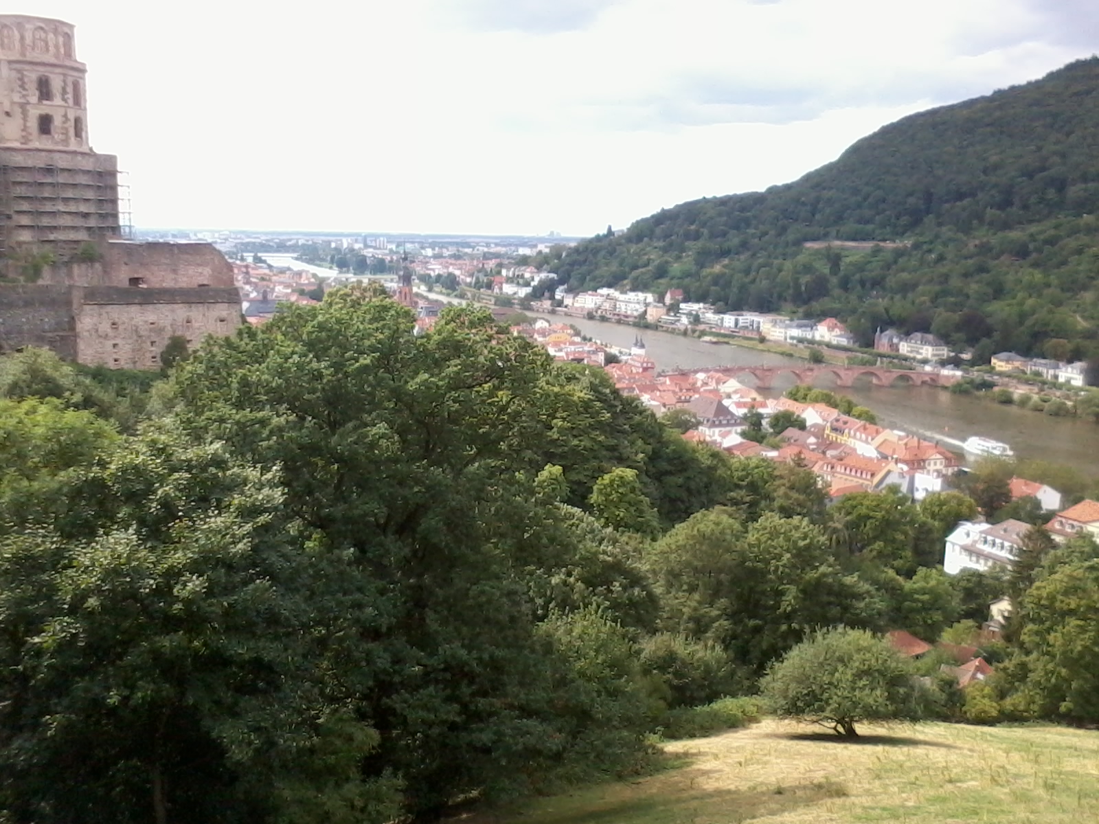 Bild 49 Schloss Heidelberg in Heidelberg