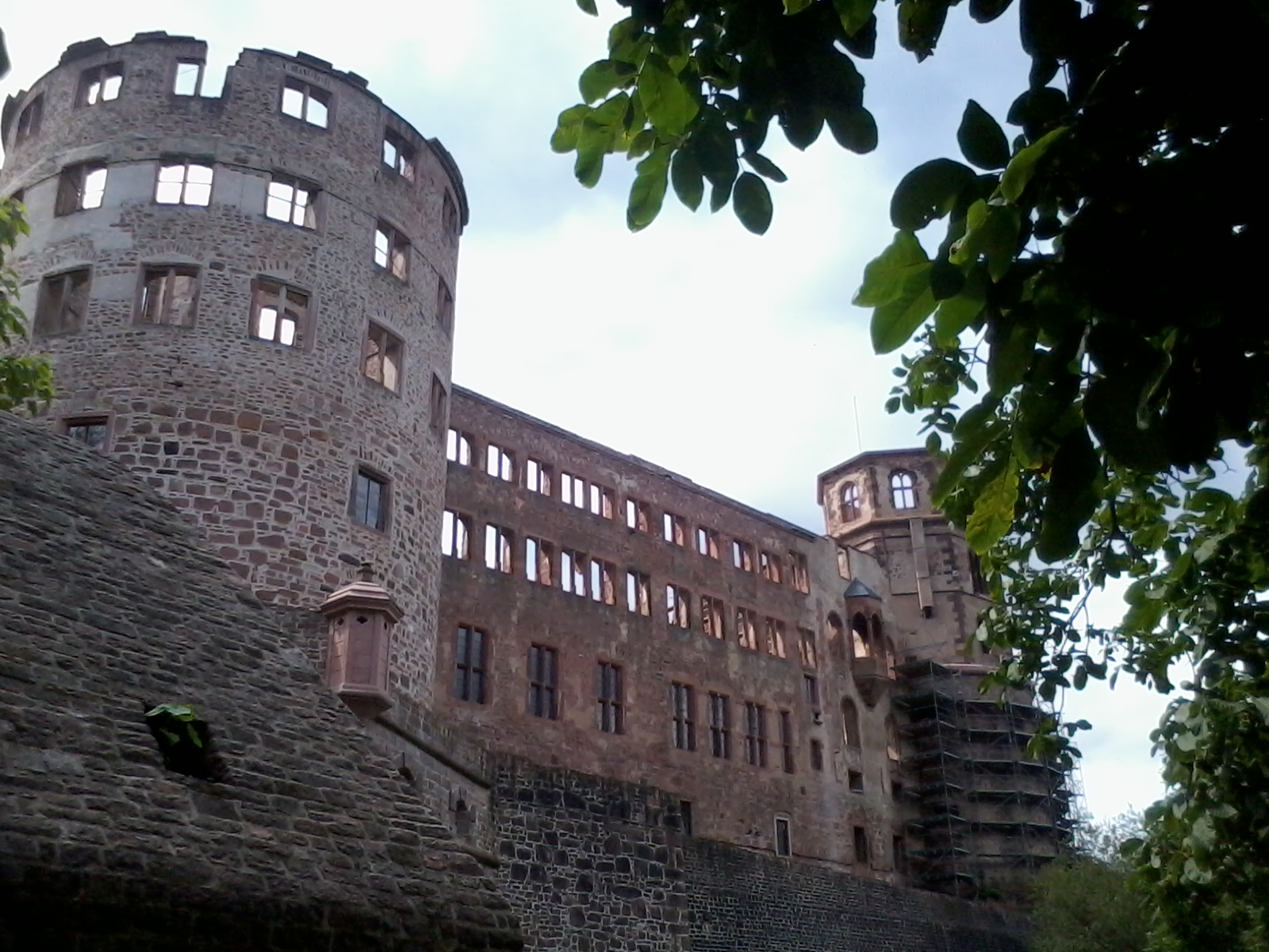Bild 50 Schloss Heidelberg in Heidelberg