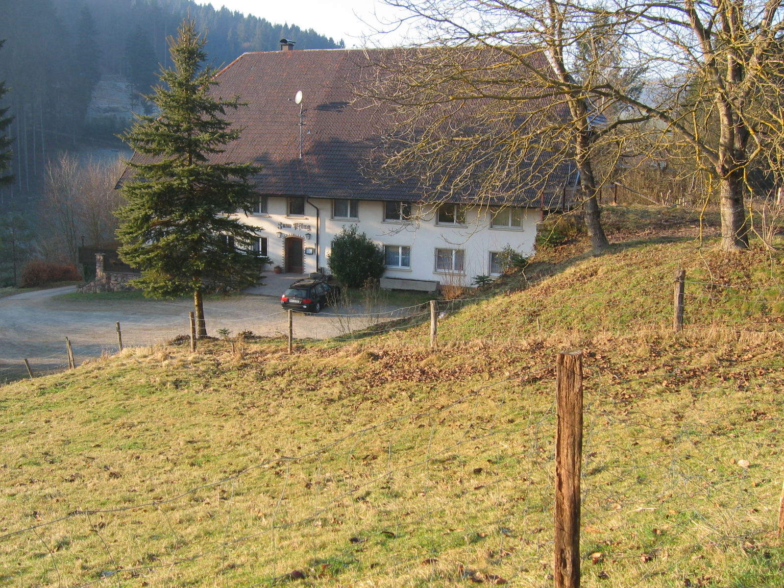 Bild 1 Gasthaus Zum Pflug in Biederbach