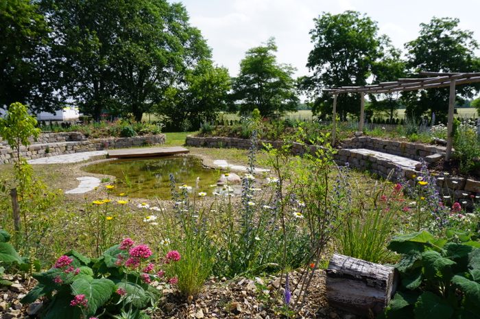 Naturgarten mit Teich, Trockenmauer und Wildpflanzen