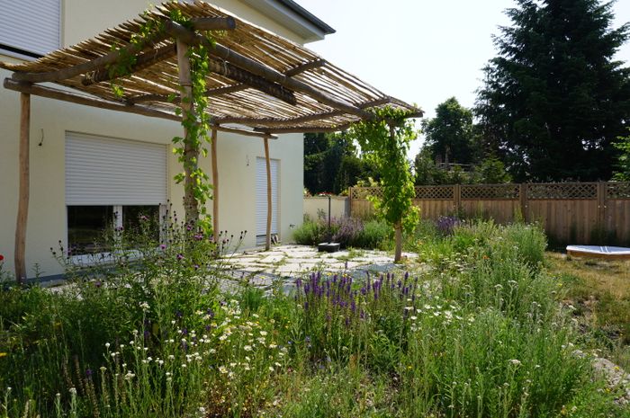 Pergola aus Robinienholz mit trocken-sonnigem Wildstaudenbeet