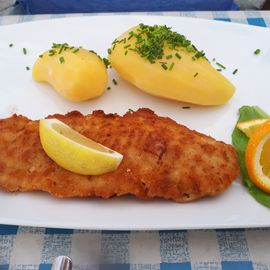 Rotbarschfilet