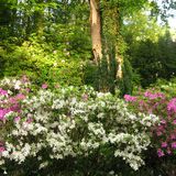 Botanischer Garten Duissern Kaiserberg in Duisburg