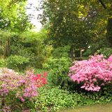 Botanischer Garten Duissern Kaiserberg in Duisburg