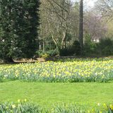 Botanischer Garten Duissern Kaiserberg in Duisburg