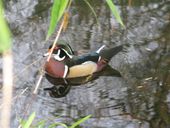 Nutzerbilder ZOO Duisburg AG