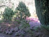 Nutzerbilder Botanischer Garten Duissern Kaiserberg