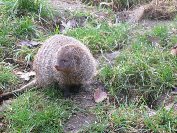 Nutzerbilder ZOO Duisburg AG