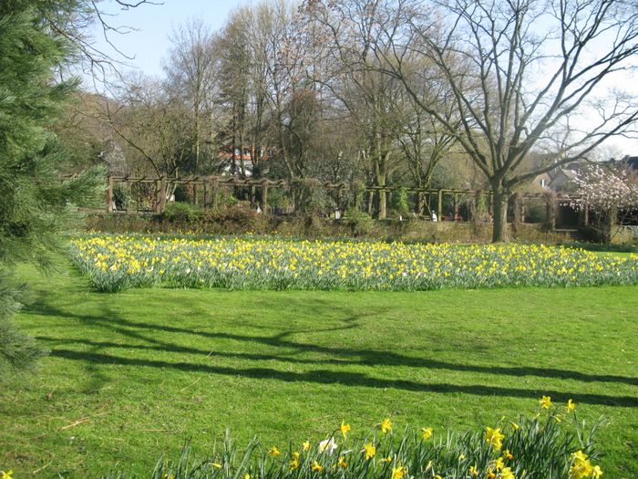 Nutzerbilder Botanischer Garten Duissern Kaiserberg