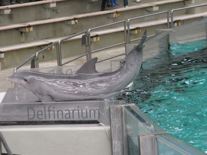 Nutzerbilder ZOO Duisburg AG