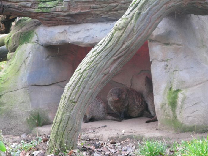 Nutzerbilder ZOO Duisburg AG