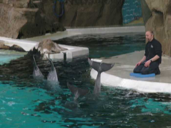 Nutzerbilder ZOO Duisburg AG