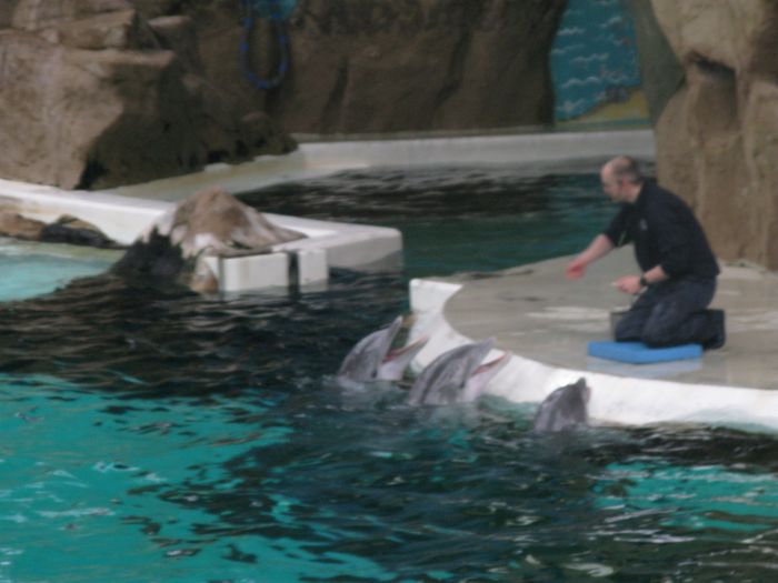 Nutzerbilder ZOO Duisburg AG