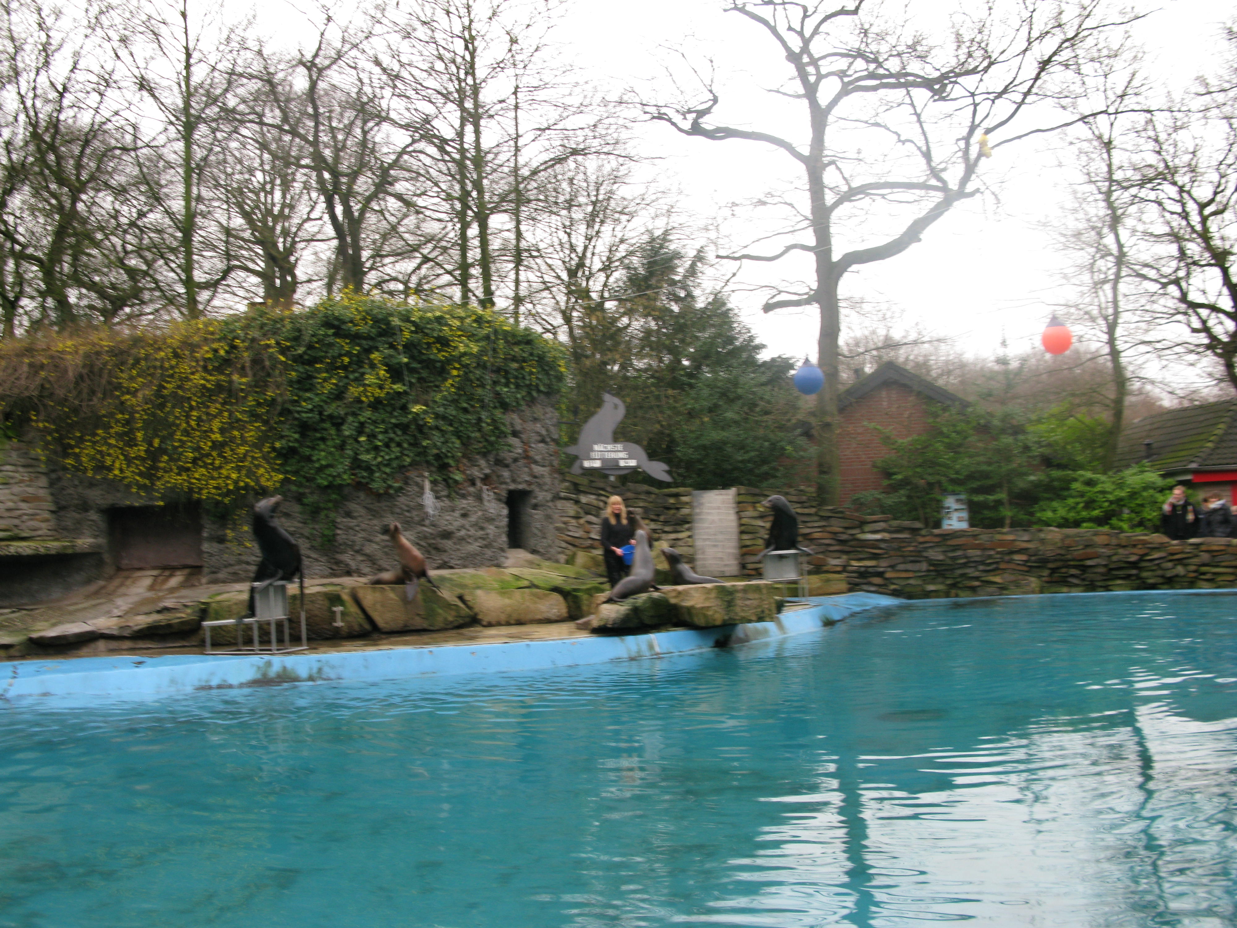 Bild 79 ZOO Duisburg AG in Duisburg